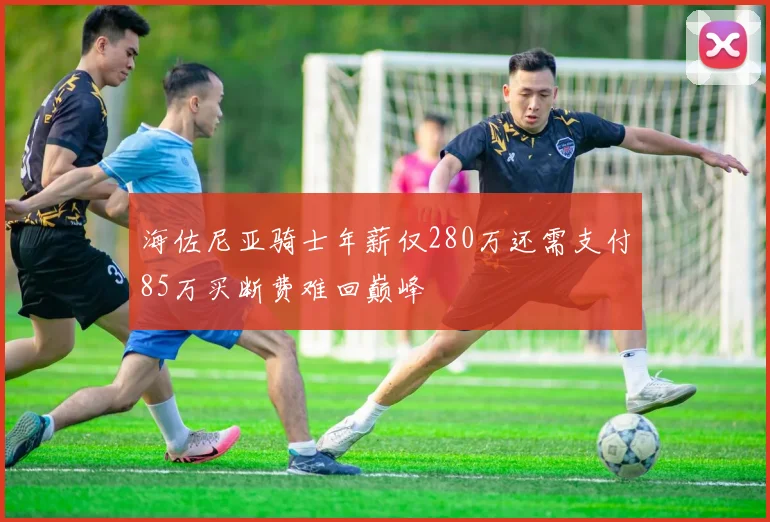 海佐尼亚骑士年薪仅280万还需支付85万买断费难回巅峰